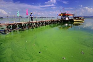 4599397428_5657deb314_b